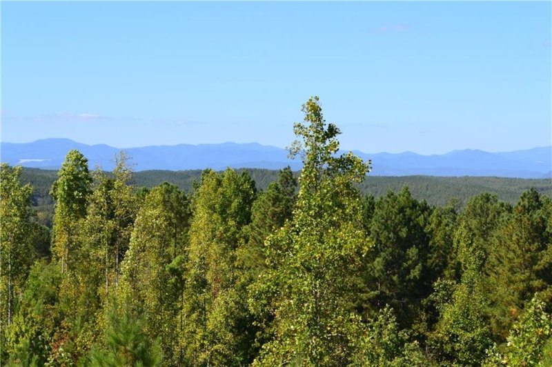 Property image 3 at 115 Hickory Springs Way, Six Mile, SC 29682