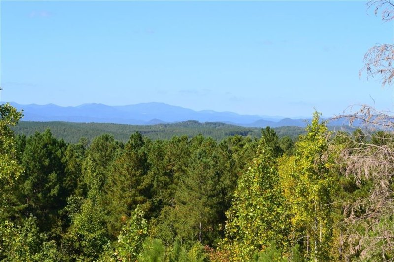 Property image 4 at 115 Hickory Springs Way, Six Mile, SC 29682