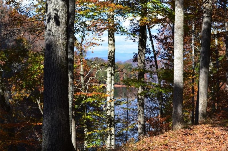 Property image 2 at 118 Fallen Oak Way, Six Mile, SC 29682