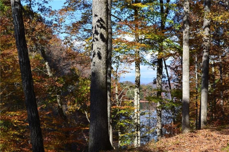 Property image 3 at 118 Fallen Oak Way, Six Mile, SC 29682