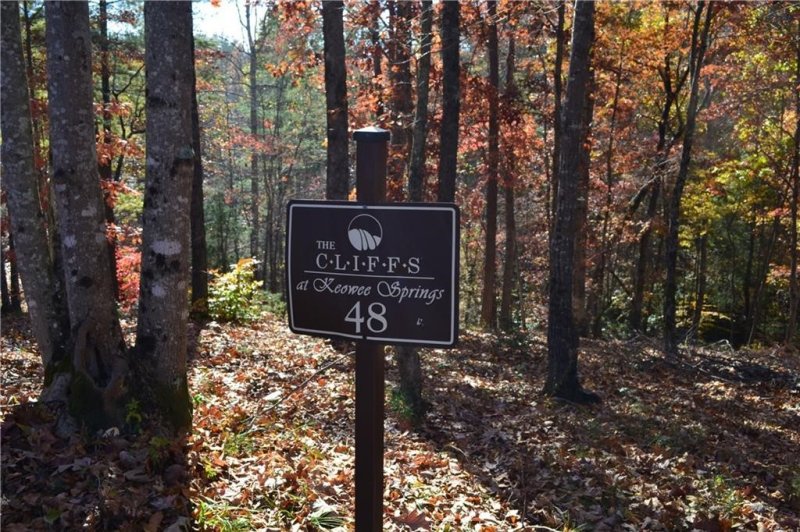 Property image 4 at 118 Fallen Oak Way, Six Mile, SC 29682