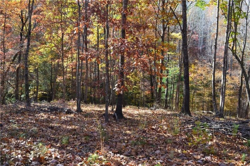 Property image 5 at 118 Fallen Oak Way, Six Mile, SC 29682