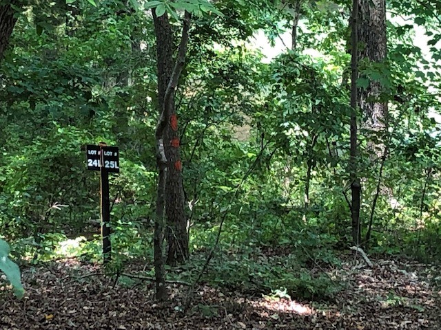 Property image 4 at 24L Overlook View Lane, Seneca, SC 29678