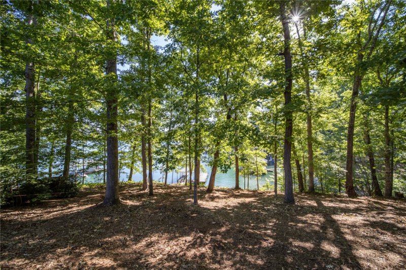 Property image 2 at 000 Treehaven Ct/ Lot 45 Waterford Pointe, Seneca, SC 29672