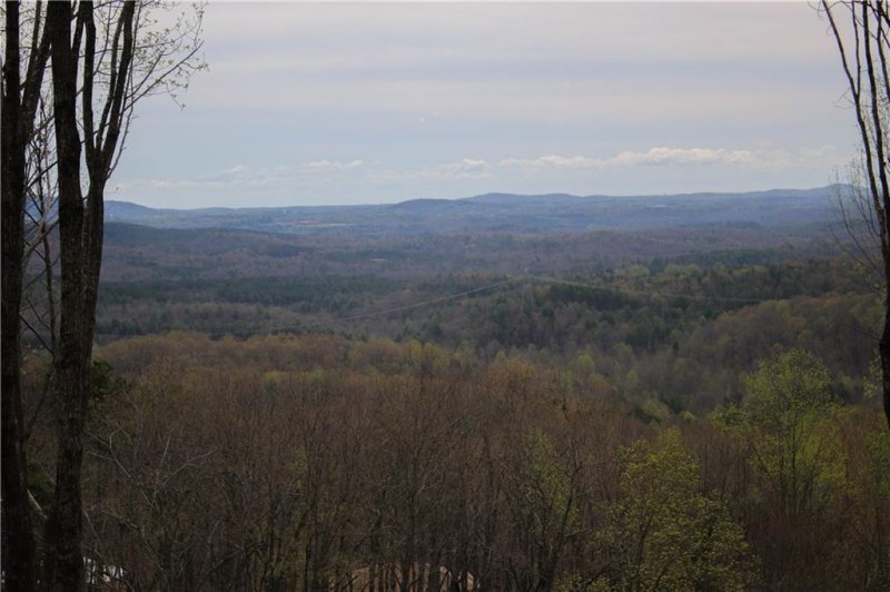 517 Upper Springs Road