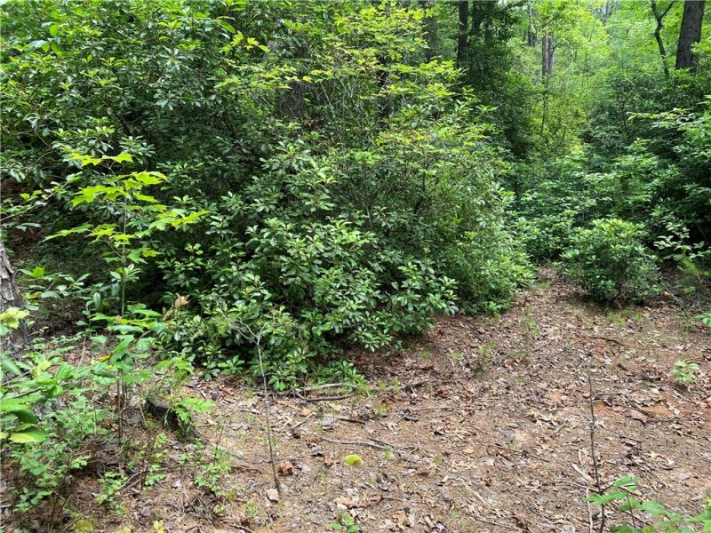 Property image 5 at 00 Winding Stair/Cheohee Road, Tamassee, SC 29686