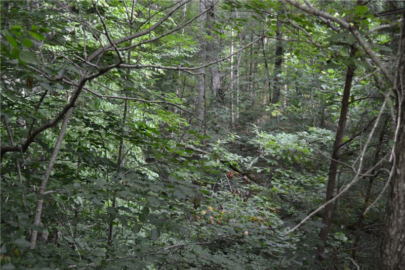 Property image 5 at Lot 4 Linn Garden Way, West Union, SC 29696