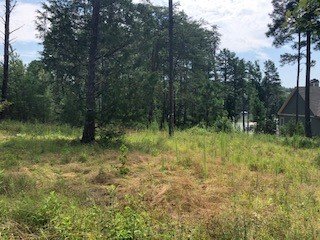 Property image 2 at 510 Natures View Way, Salem, SC 29676