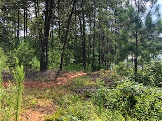 Property image 3 at 510 Natures View Way, Salem, SC 29676