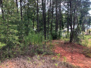 Property image 4 at 510 Natures View Way, Salem, SC 29676