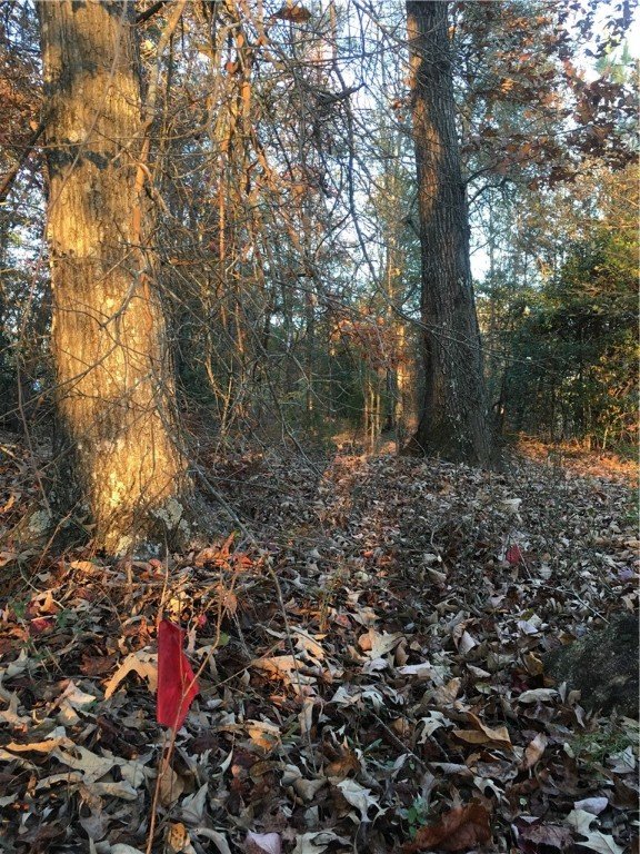 Property image 3 at 522 Lakeside Drive, Anderson, SC 29621