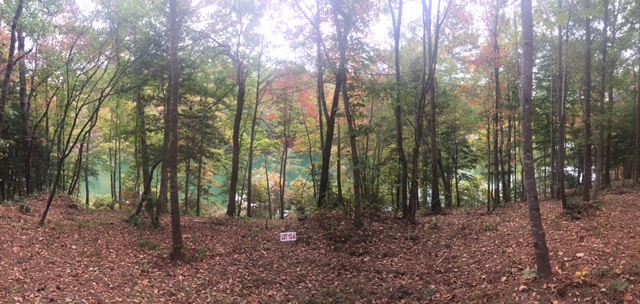 Property image 3 at Lot 13-A Estates at Riverstone, Salem, SC 29676