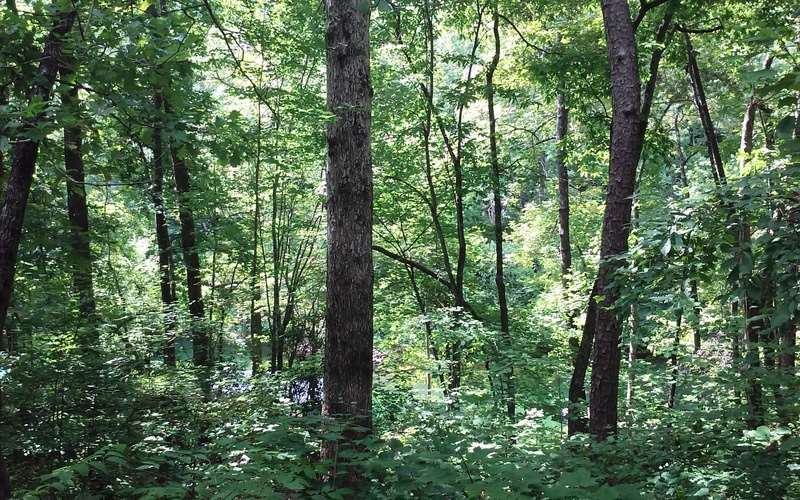 Property image 4 at Lot 4 Keowee Harbours, Salem, SC 29676