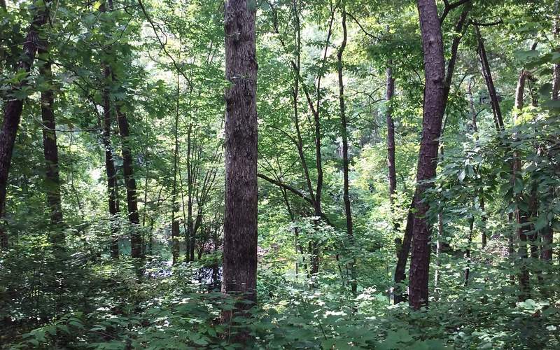 Property image 5 at Lot 4 Keowee Harbours, Salem, SC 29676