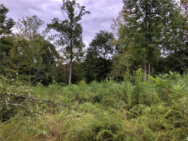 Property image 5 at Lot 31 Parkview Drive, Fair Play, SC 29643