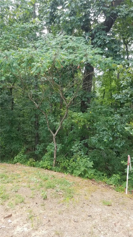 Property image 4 at Lot 205 Fernbrook Court, Seneca, SC 29672
