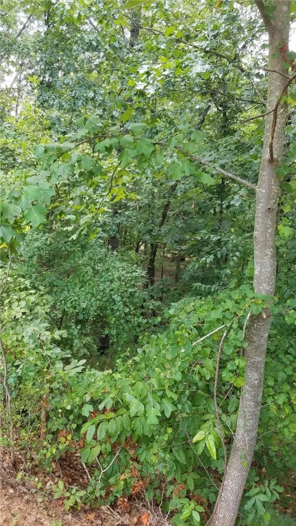 Property image 5 at Lot 205 Fernbrook Court, Seneca, SC 29672