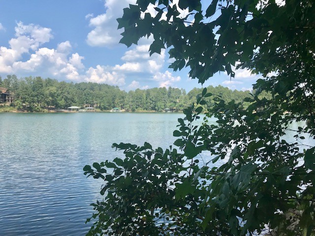 Property image 2 at 559 Riverstone Drive, Salem, SC 29676