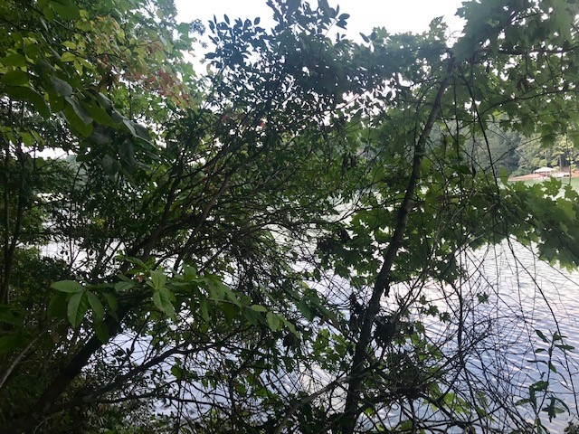 Property image 3 at 559 Riverstone Drive, Salem, SC 29676