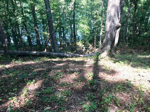 Property image 4 at 559 Riverstone Drive, Salem, SC 29676