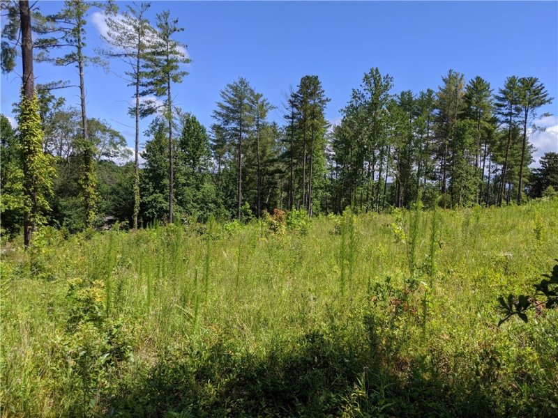 Property image 2 at 1 Beacon Ridge Circle, Salem, SC 29676