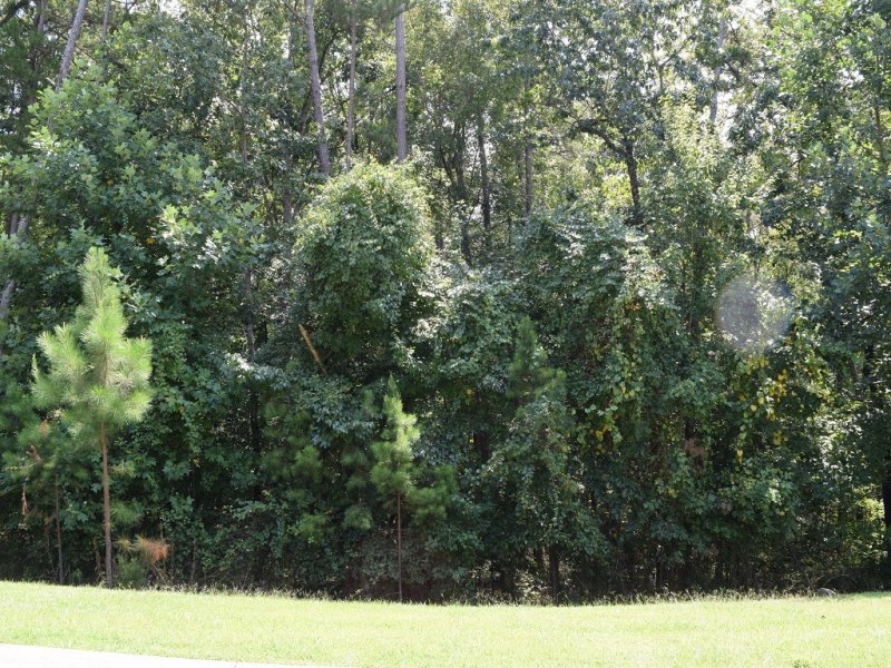 Property image 3 at Lot 229 Mapleleaf Way, Seneca, SC 29672