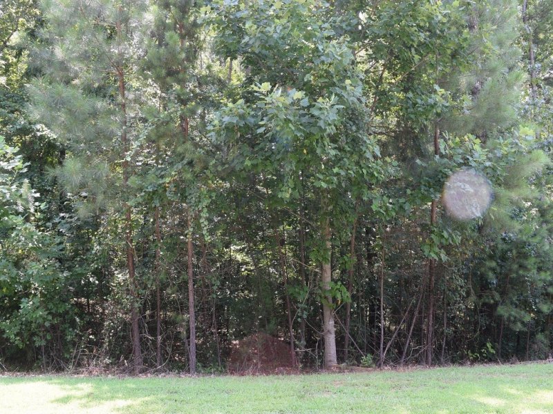 Property image 4 at Lot 229 Mapleleaf Way, Seneca, SC 29672