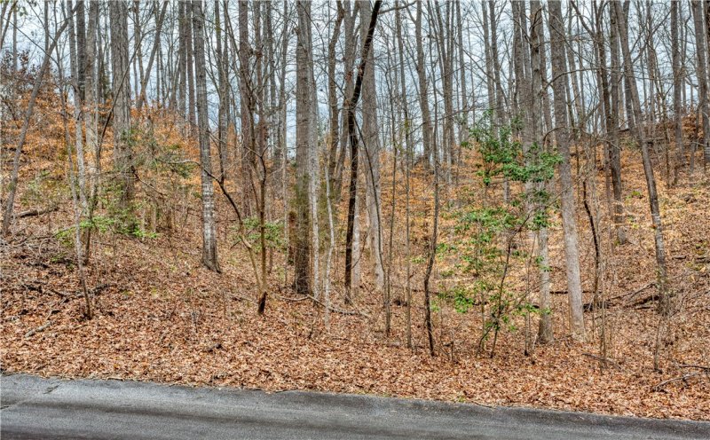 Property image 5 at 00 GLEN Road, Seneca, SC 29672