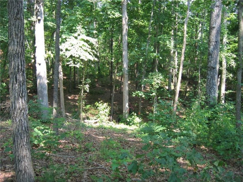 Property image 4 at 6 Overlook Drive, Fair Play, SC 29643