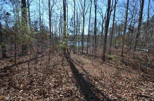 Property image 5 at 6 Overlook Drive, Fair Play, SC 29643