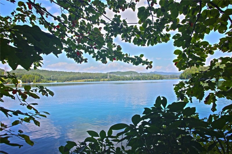Lot J-5 Cliffs at Keowee Falls North