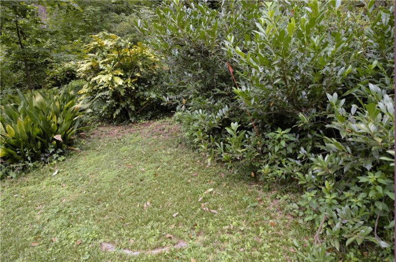 Property image 2 at 119 Poole Lane, Clemson, SC 29631
