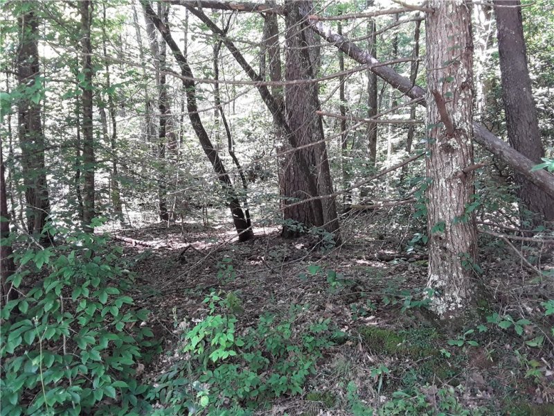 121 Willys Creek Circle