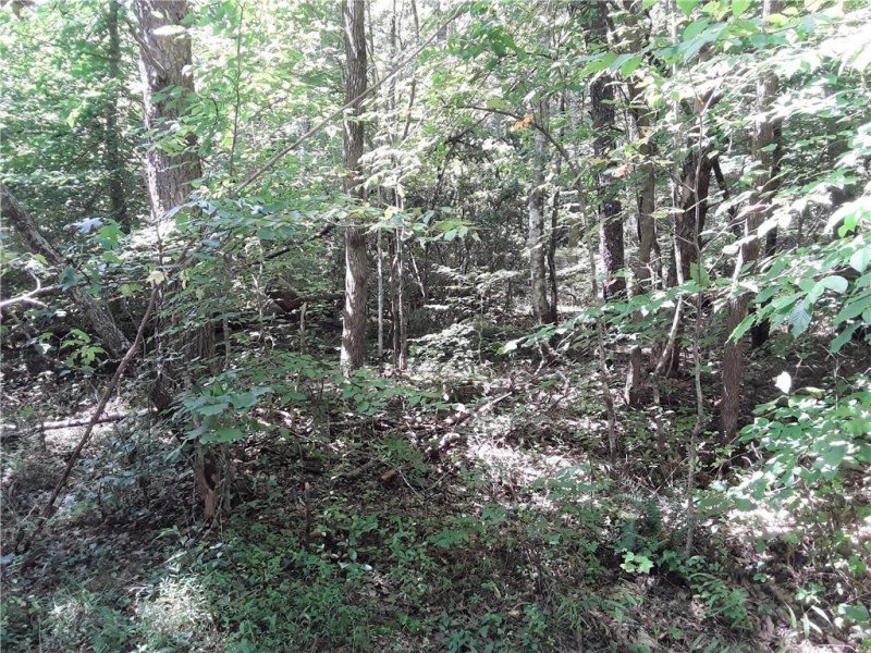 Property image 2 at 121 Willys Creek Circle, Pickens, SC 29671