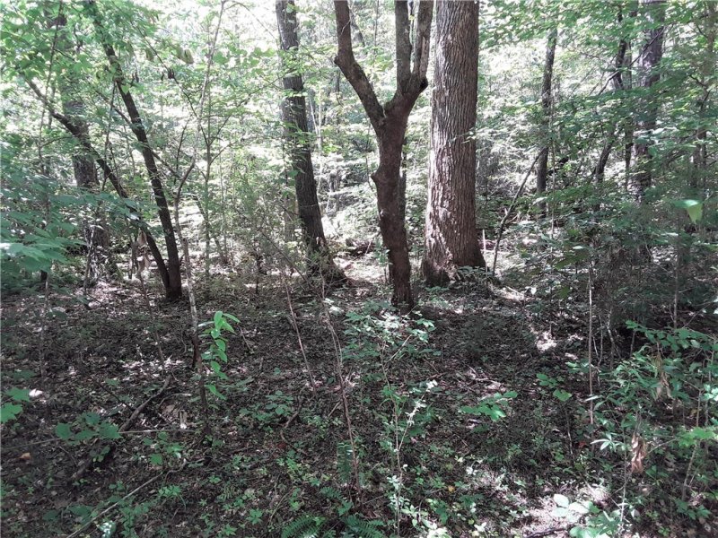 Property image 3 at 121 Willys Creek Circle, Pickens, SC 29671