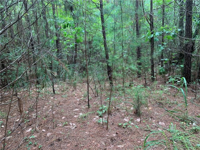 Property image 4 at 00 Pine Ridge Road, Seneca, SC 29672