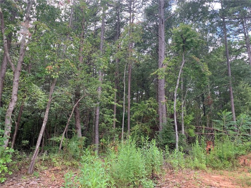 Property image 5 at 00 Pine Ridge Road, Seneca, SC 29672