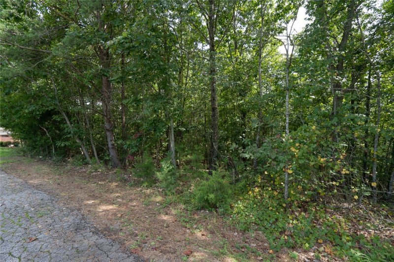 Property image 5 at 102 Long View Court, Pickens, SC 29671