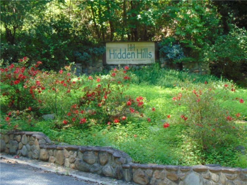 Property image 4 at 0 Laurel Hill Lane, Landrum, SC 29356