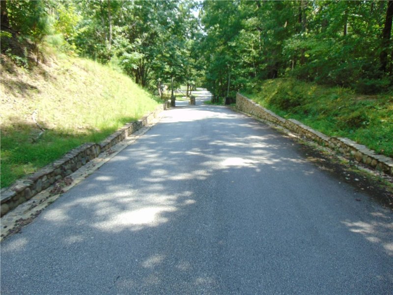 Property image 5 at 0 Laurel Hill Lane, Landrum, SC 29356