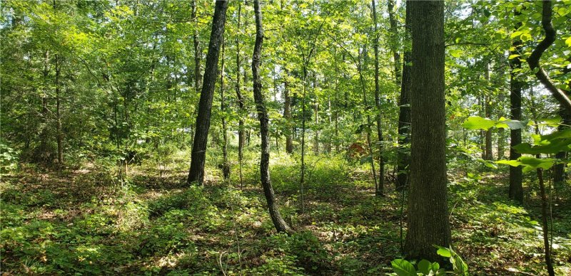 Property image 3 at 589 Issaqueena Trail, Clemson, SC 29631