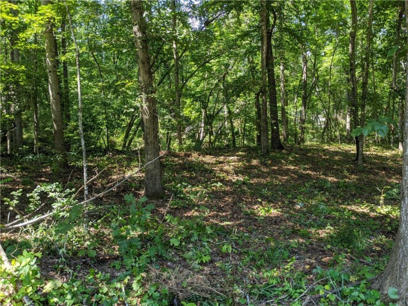 Property image 3 at 125 Beacon Ridge Circle, Salem, SC 29676