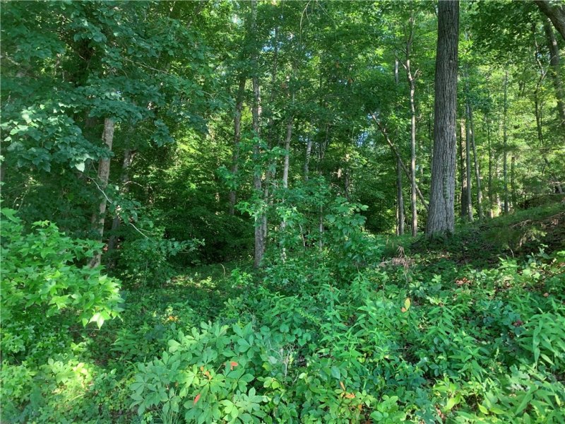 Property image 5 at Lot 13 & 20 ARLINGTON HEIGHTS Drive, Seneca, SC 29672