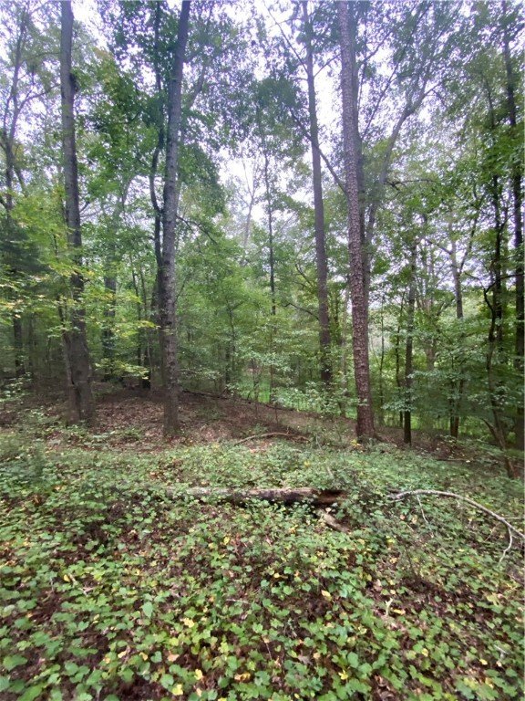 Property image 2 at 00 Meadowbrook Drive, Anderson, SC 29626