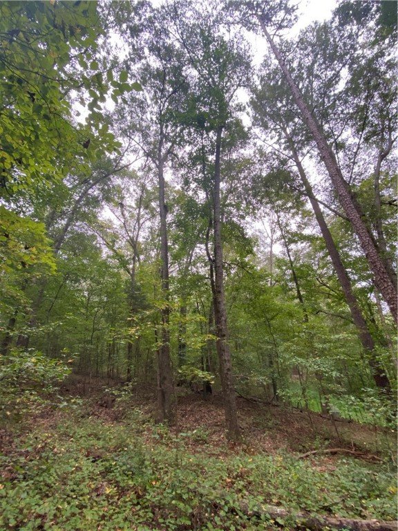 Property image 3 at 00 Meadowbrook Drive, Anderson, SC 29626