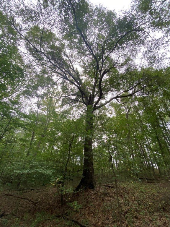 Property image 5 at 00 Meadowbrook Drive, Anderson, SC 29626