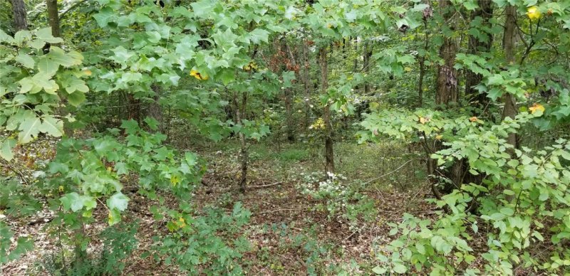 Property image 5 at 209 Winding Oaks Drive, Seneca, SC 29672