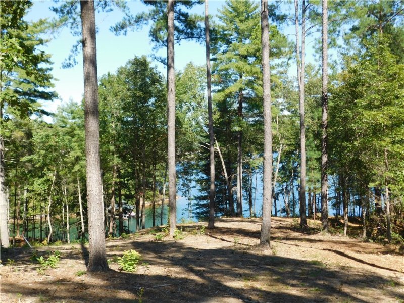 Property image 2 at Lot 10 Old Chapman Bridge Road, Salem, SC 29676