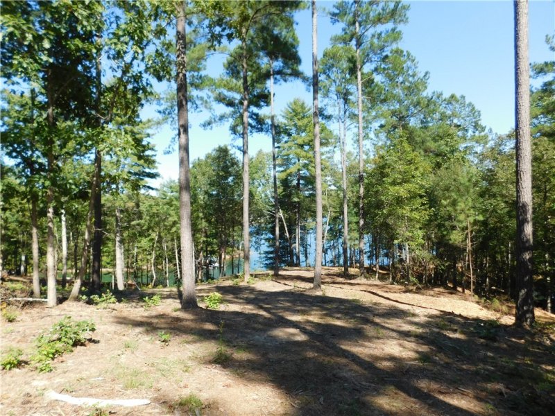 Property image 3 at Lot 10 Old Chapman Bridge Road, Salem, SC 29676