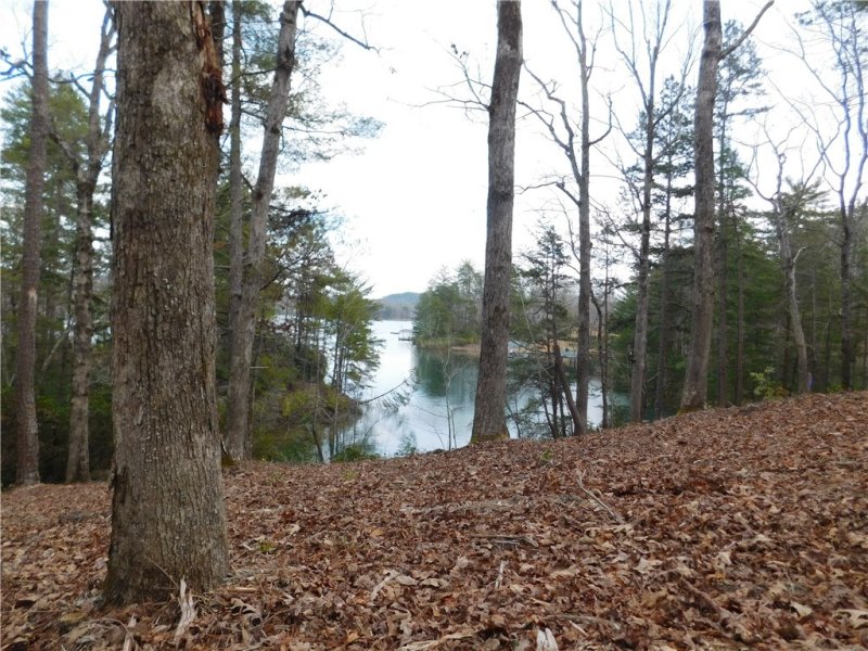 Lot 12 Old Chapman Bridge Road